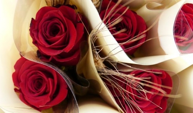 Roses Sant Jordi
