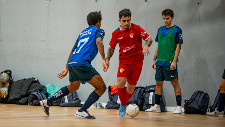 Terrassa FC-Futsal Vicent&iacute; Castellbell: a mostrar-se ferms a Can Jofresa